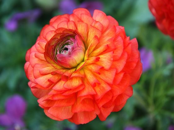 Frances Freyberg: Following her passion for photograhy around the world