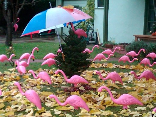 Umbrellas sprout all over Menlo – that includes pink flamingos!