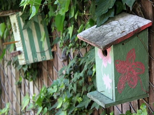 Do you know where Atherton’s secret garden is?