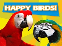 Happy Birds performing parrot show on Sept. 12