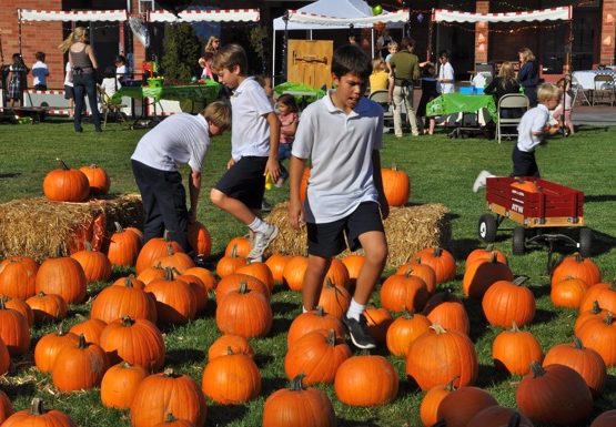 St. Raymond Pumpkin Festival returns on September 25 & 25