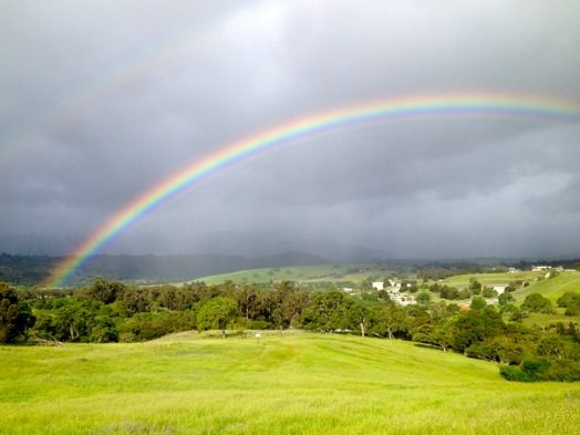 April showers bring rainbow over Menlo Park