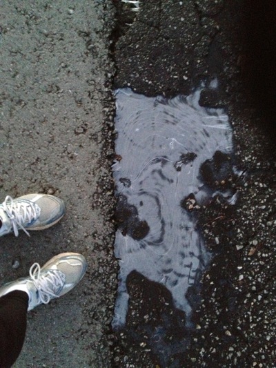 Spotted: Ice puddle in Menlo Park