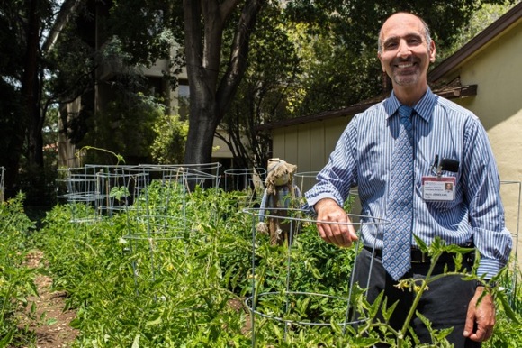 Dr. Paul Jemelian tends vegetable garden at Menlo Medical Clinic