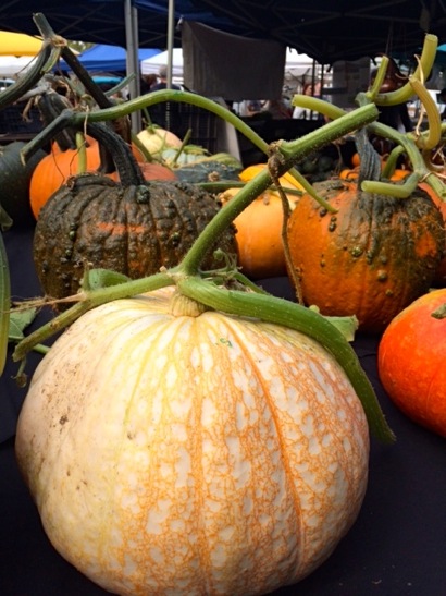 Spotted: Cozzolino pumpkins at Menlo Park Farmers Market