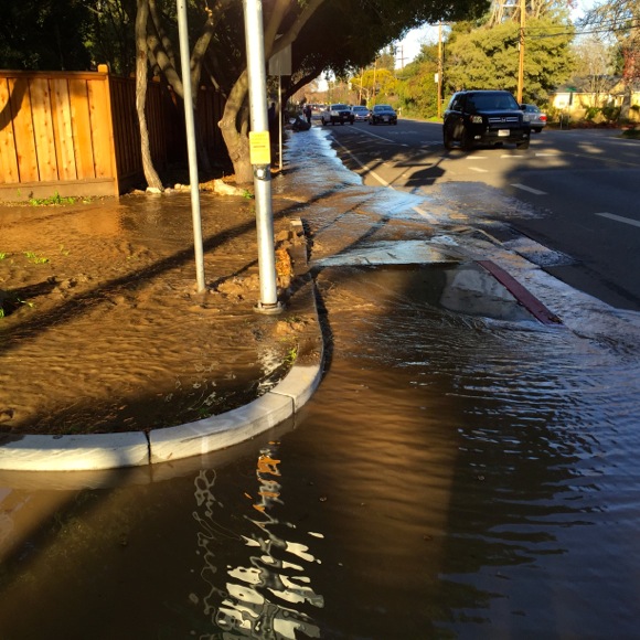 Spotted: Gushing water on Santa Cruz Avenue this afternoon