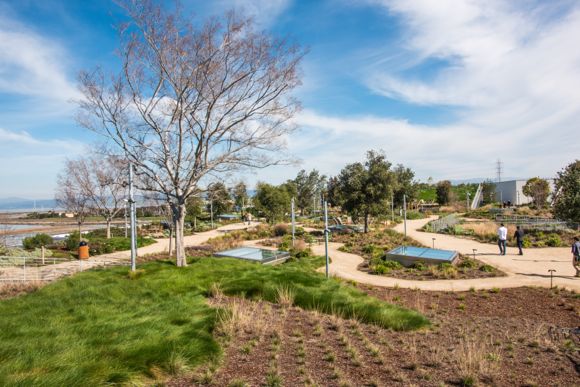 Touring Facebook’s rooftop garden where the views are grand – and so are the plants