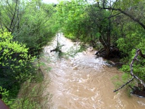 Learn about San Francisquito Creek Bank Stabilization Project on May 7