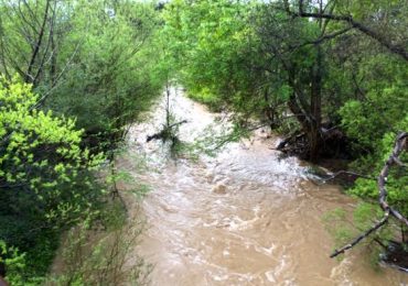 Learn about San Francisquito Creek Bank Stabilization Project on May 7