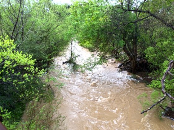 Learn about San Francisquito Creek Bank Stabilization Project on May 7