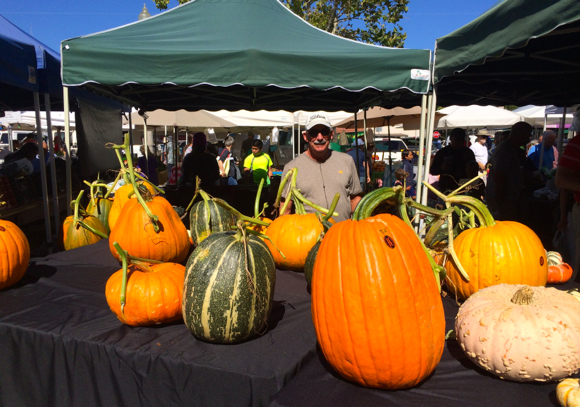 Spotted: Pumpkins from Cozzolino’s at Menlo Park Farmers Market