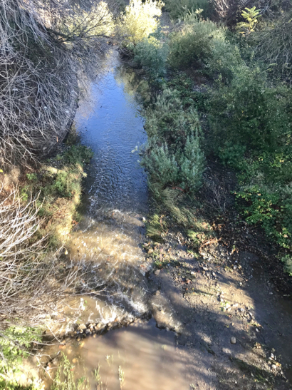 Rain that lingered gets San Francisquito Creek flowing