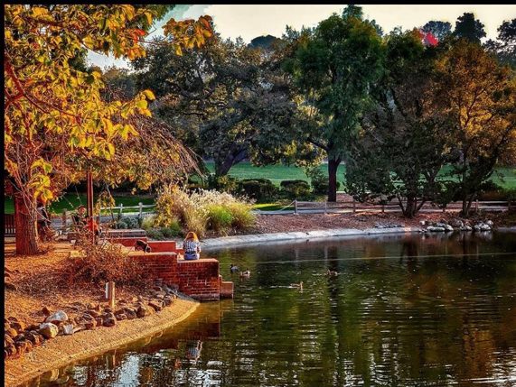 Spotted: Lake at Sharon Park sporting a fall hue