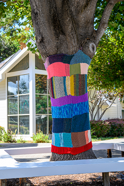 Yarn trees are festively decorating outdoor spaces at Trinity Church ...