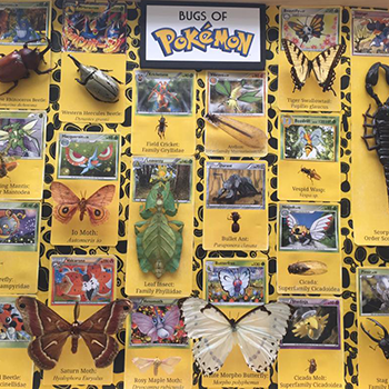 The Bugs of Pokémon examined on Sunday, Dec. 1