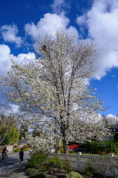 Overnight rain stays in place for a few morning drizzles