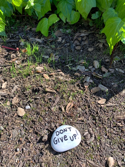 Spotted: “Don’t give up” rock in Menlo Oaks