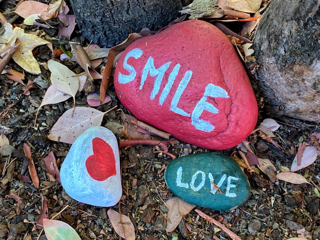 Spotted: Colorful rocks with cheery message