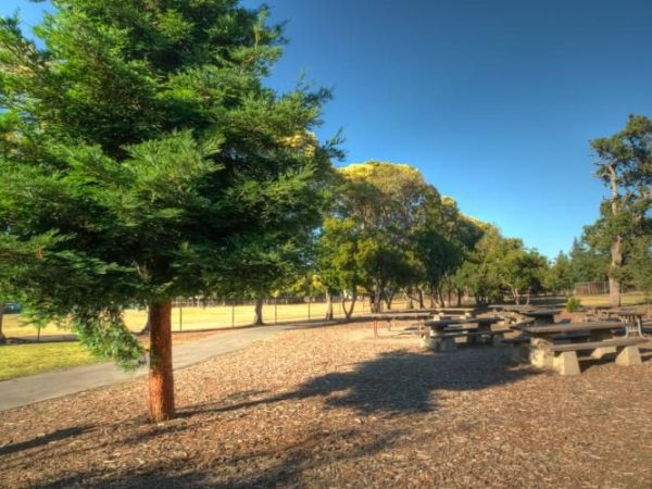 Flood Park