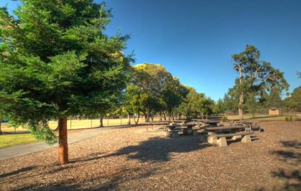 Flood Park closed Wednesdays in September and October for pest management