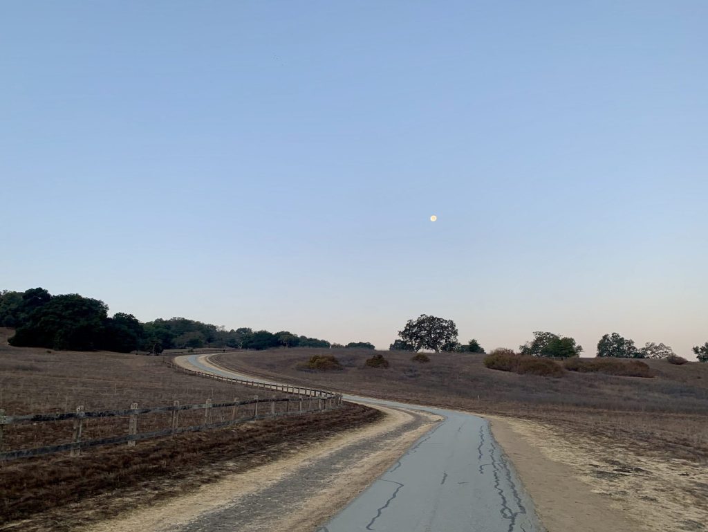 Spotted: Moon over Dish path at sunrise