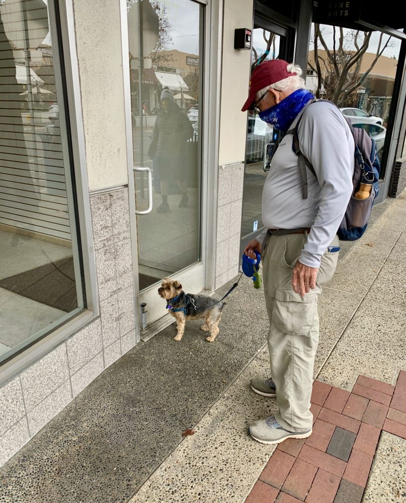 Spotted: Disappointed Christmas shopper at Pet Place