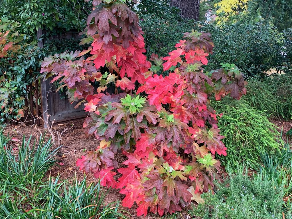 Rain continues to fall on Menlo Park