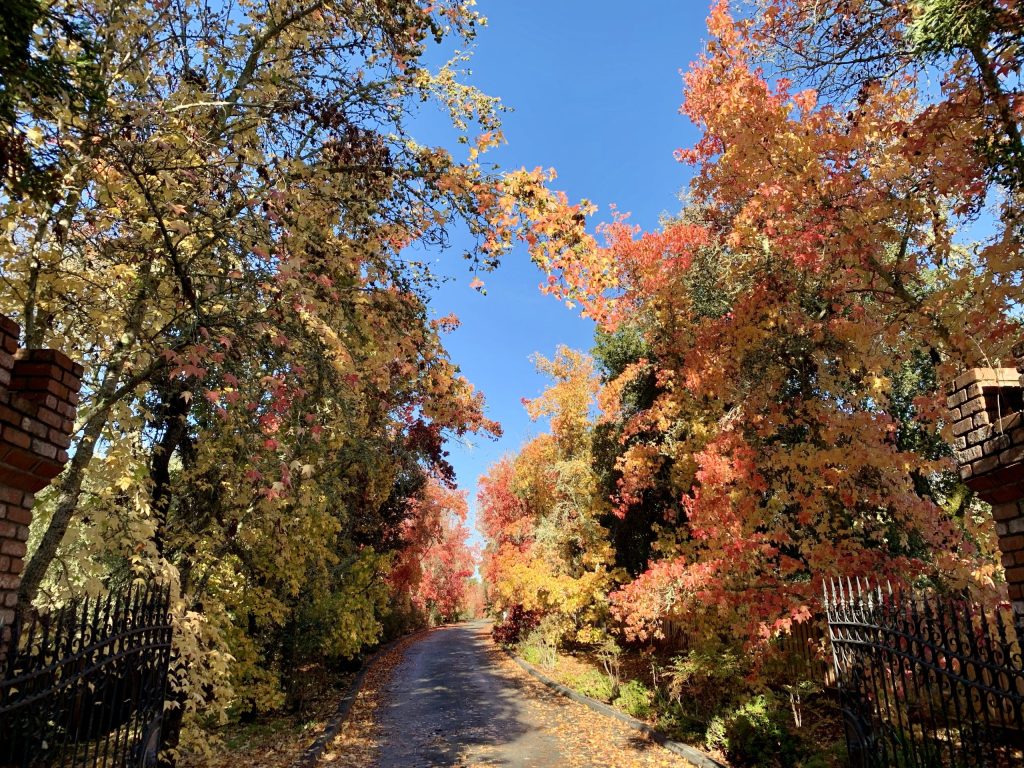 Yesterday’s rain yields to bright blue skies