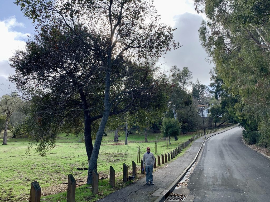 Rain pounds the rooftops overnight in Menlo Park