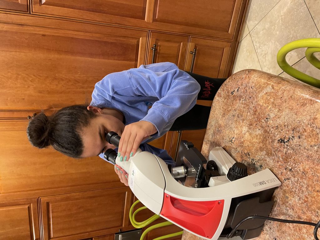 Two Sacred Heart Prep students win prizes related to stopping SARS-CoV-2 from infecting human cells