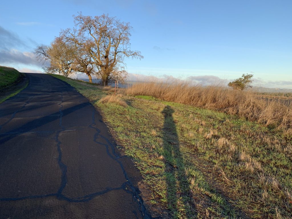 Yesterday’s rain yields to blue skies today