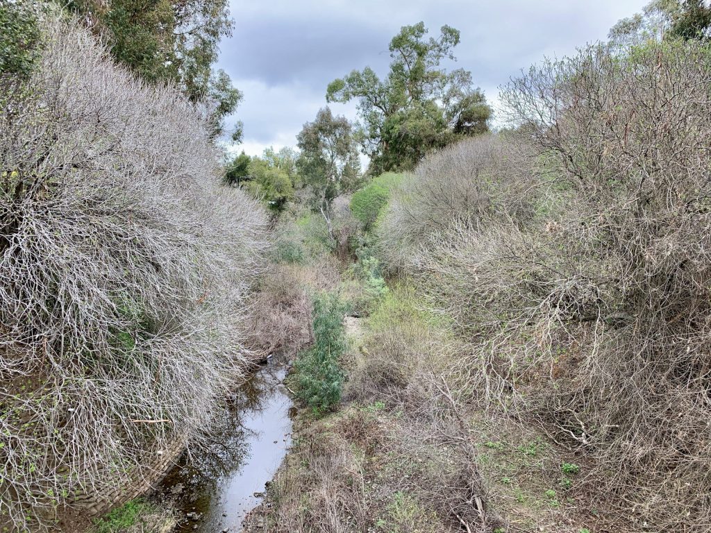 More drips and drizzles but not significant rainfall in Menlo Park