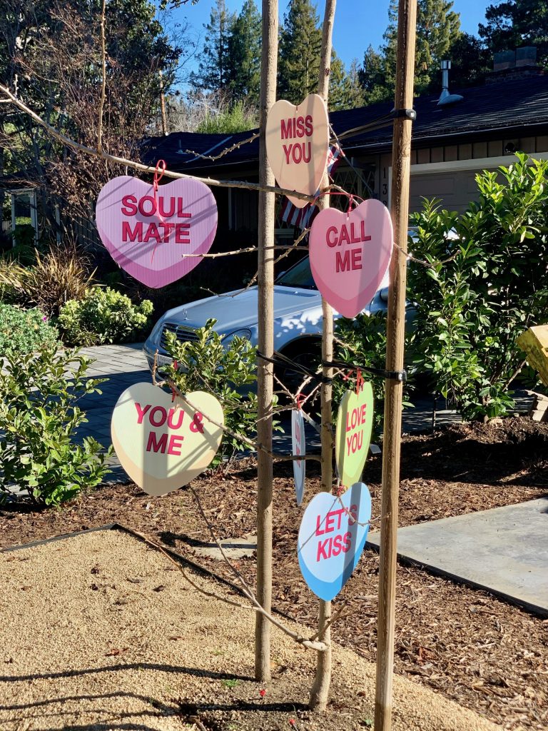 Spotted: Tree filled with Valentine hearts
