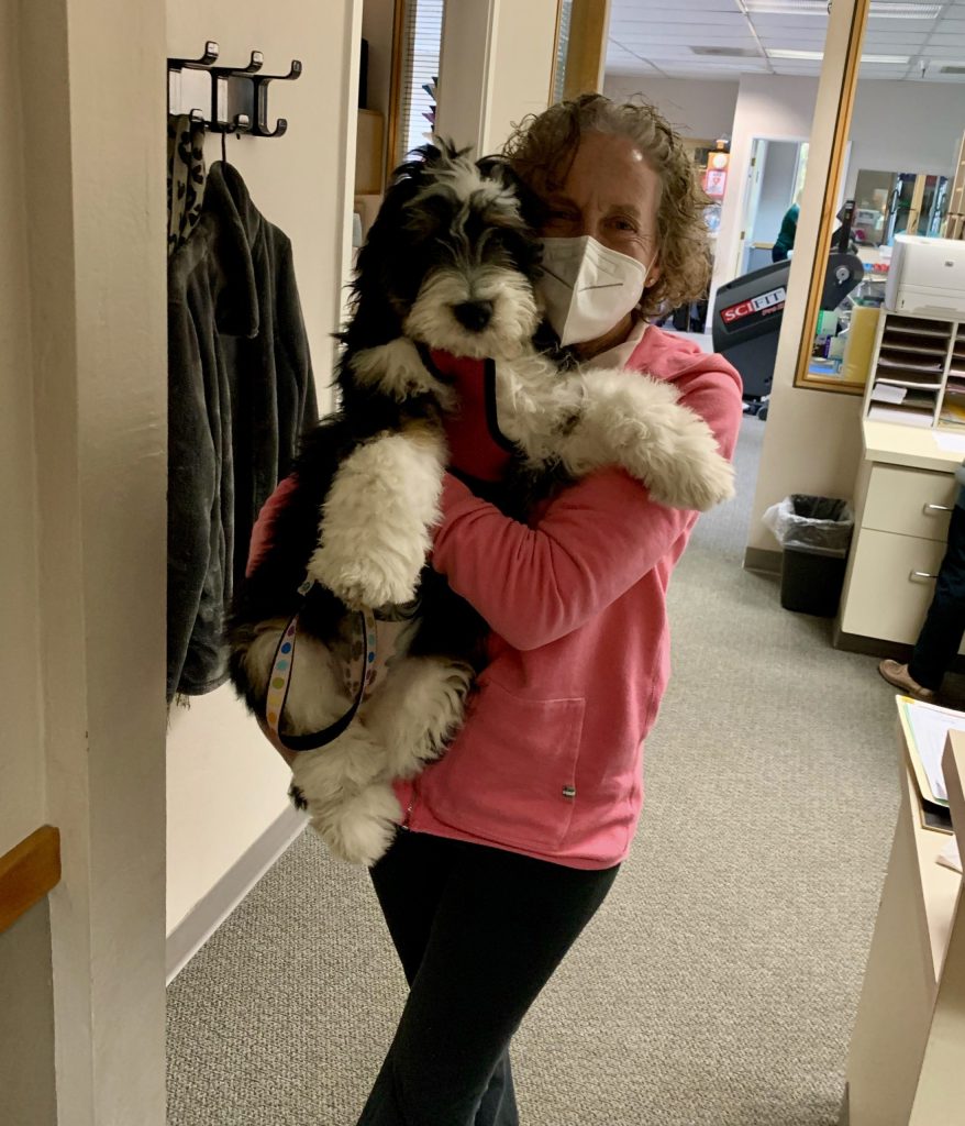 Spotted: Adorable – big! – puppy at Tobias Physical Therapy