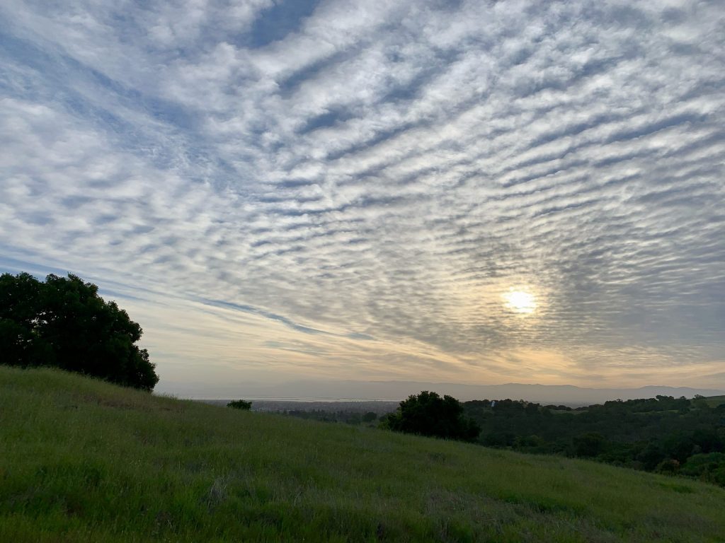 Gorgeous sky early this morning viewed from the Dish