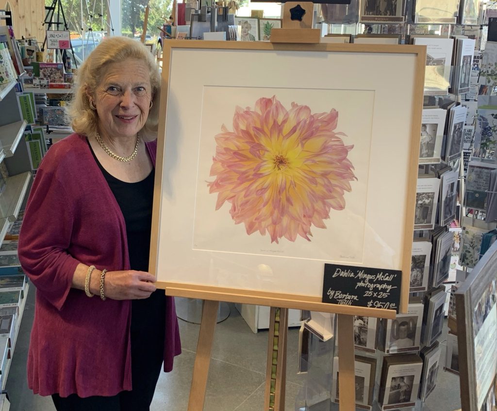 Barbara Tuffli’s dazzling dahlia photographs on display at University Art
