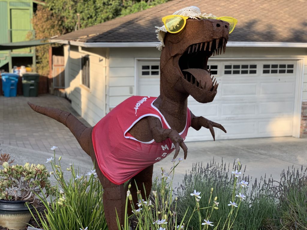 Spotted: Norbert sporting summer threads