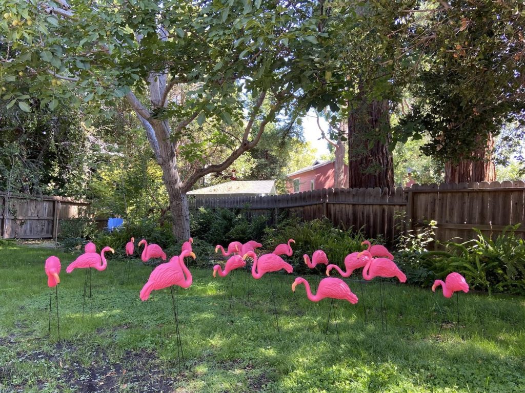Flamingo flocking returns to Menlo Park as fundraiser for Girl Scout Troop 62410