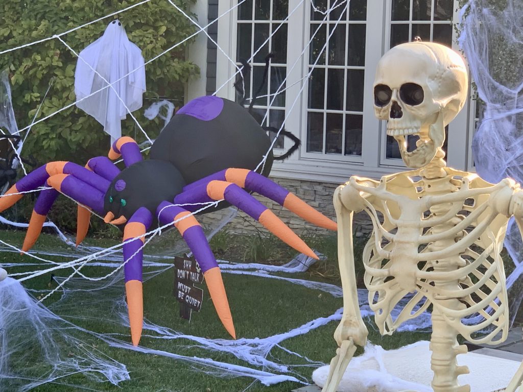Spotted: Blinking spider next to scary skeleton
