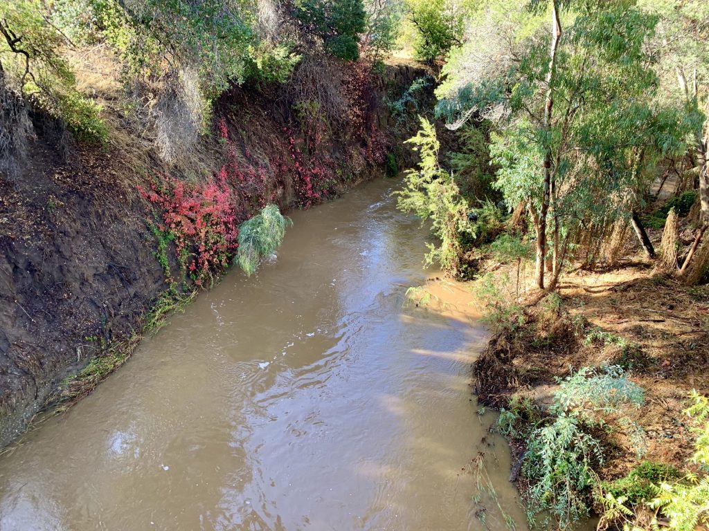 Monday brings blue skies and sunshine – here’s the updated rainfall report