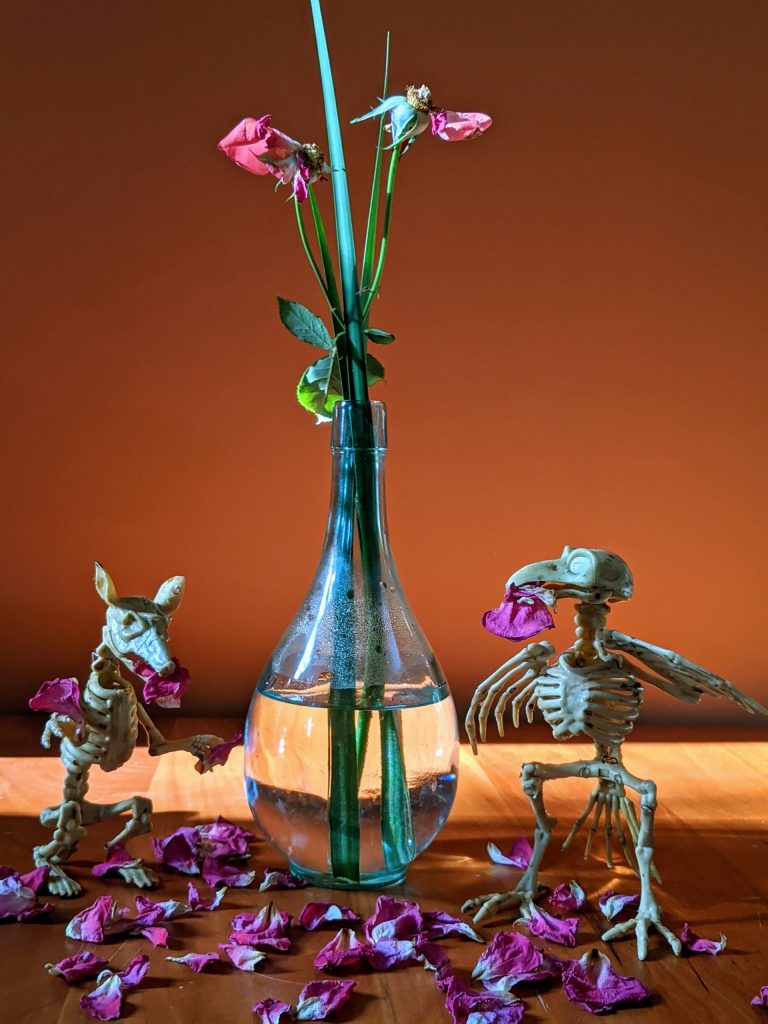Spotted: Mischievous skeletons in the house