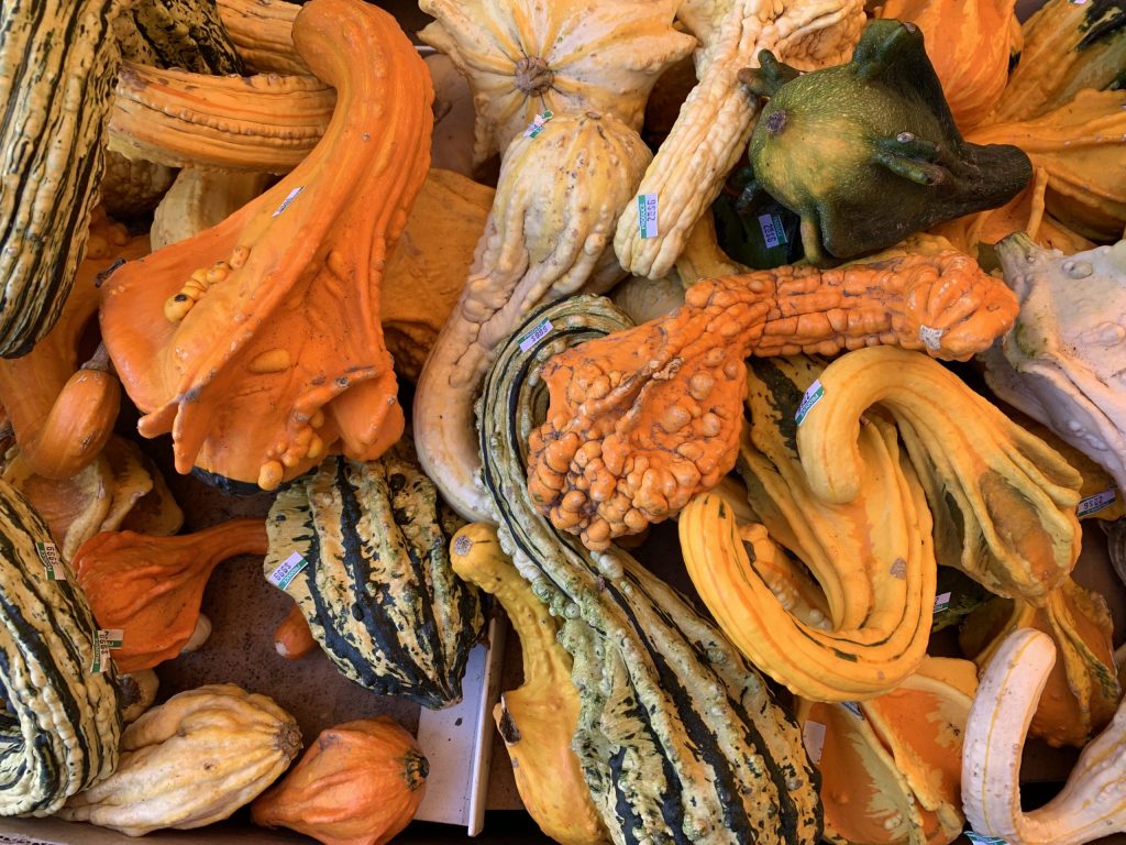 Spotted: Fall squash at Bianchini’s in Ladera