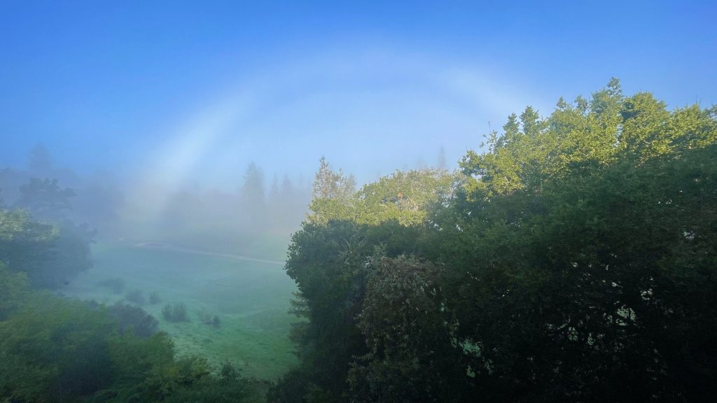 Experiencing a fogbow in Sharon Heights