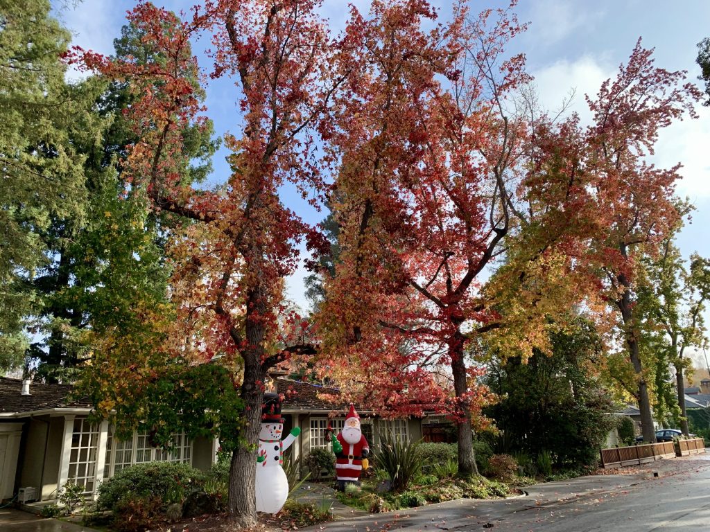Wet streets greet Menlo Park residents this morning
