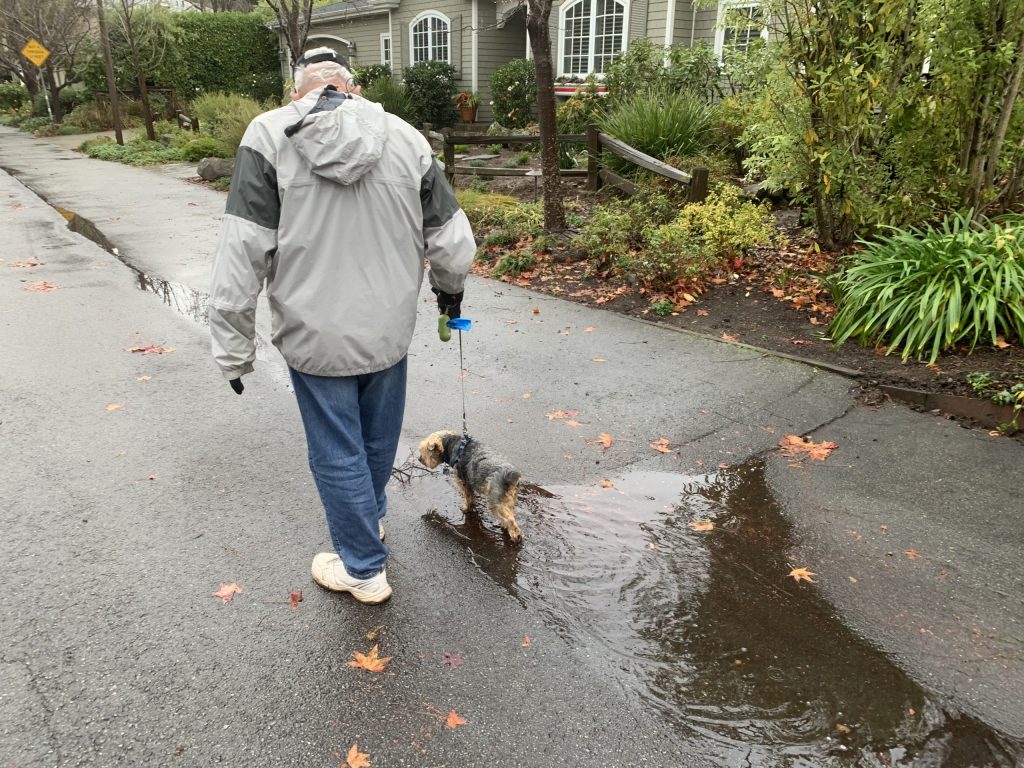 Gray skies overhead with lingering showers in Menlo Park