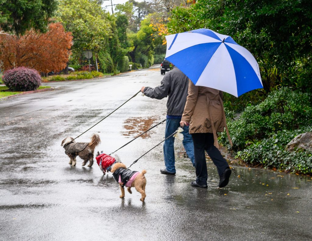 And the wet stuff continues to fall from the sky in Menlo Park