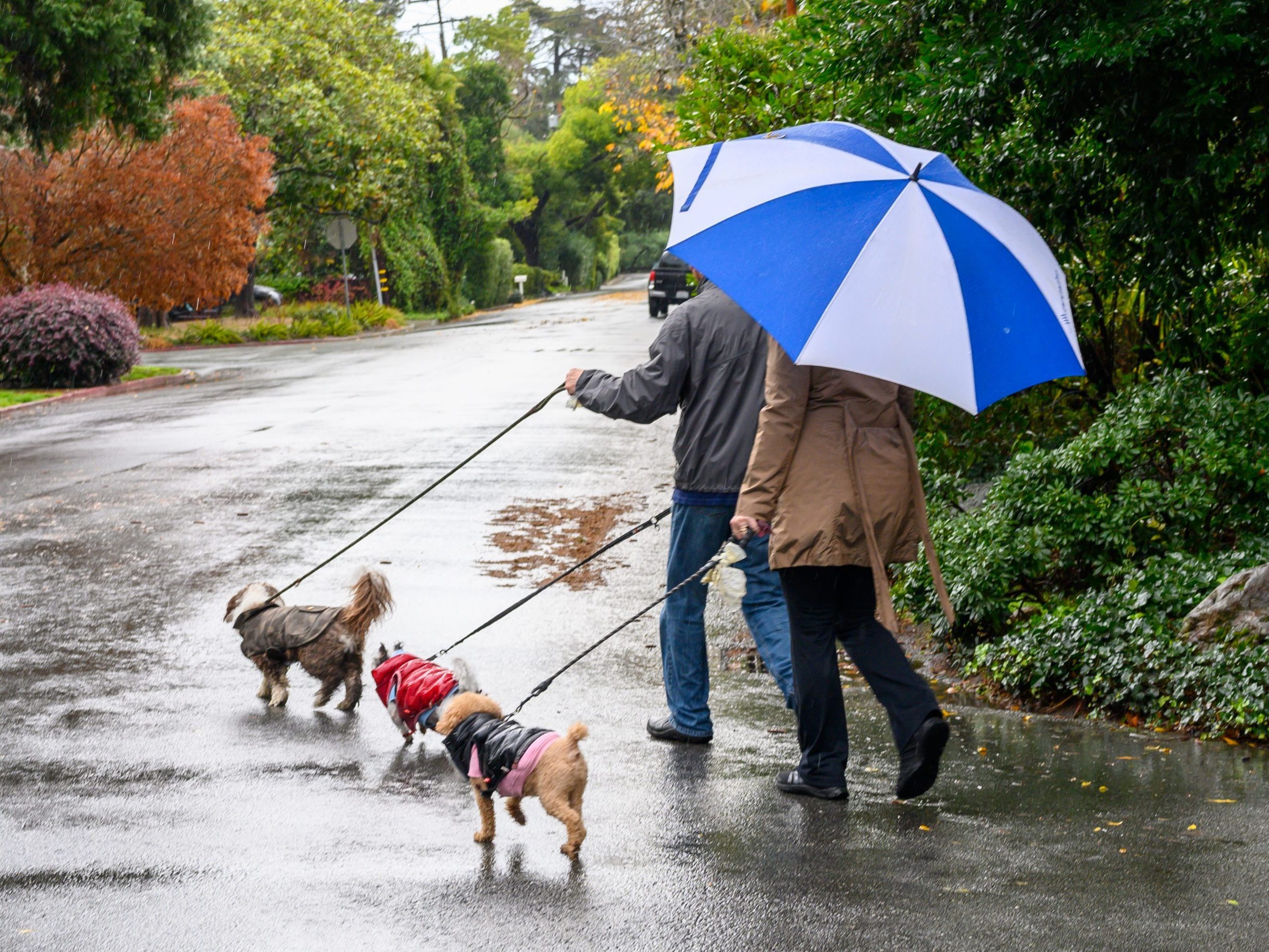 And the wet stuff continues to fall from the sky in Menlo Park InMenlo
