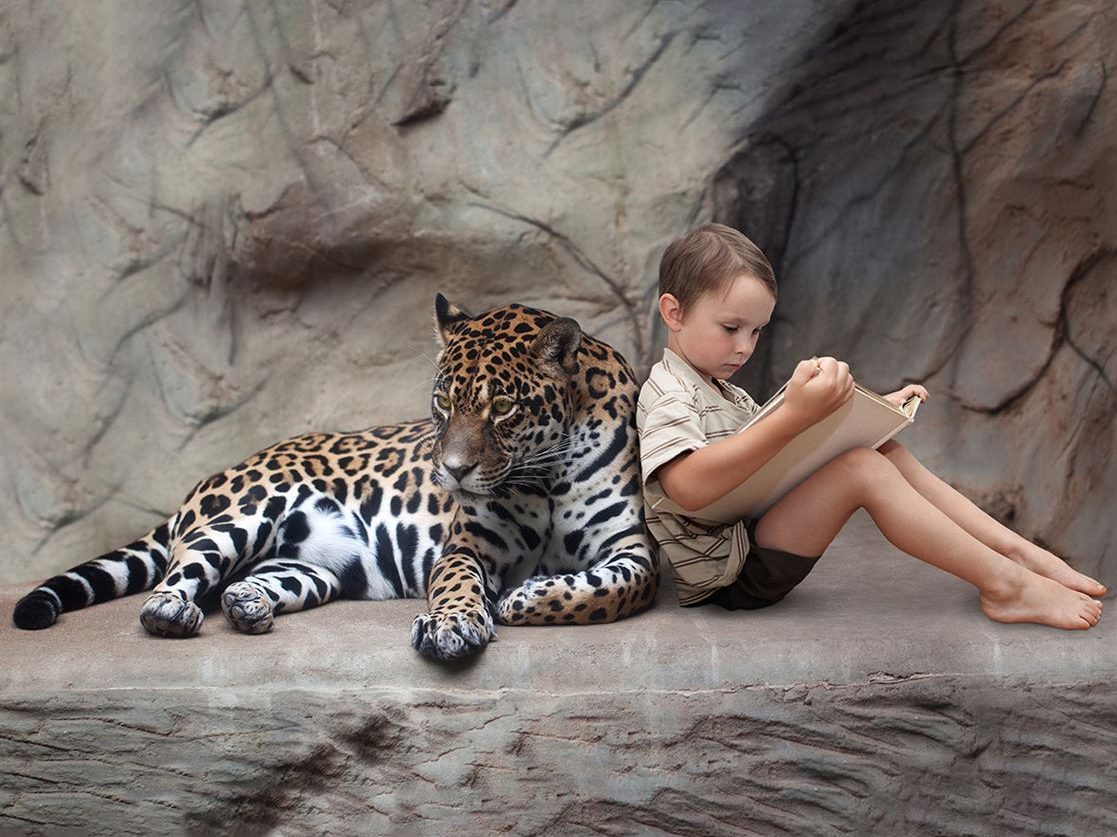 Preschoolers can enjoy storytime with Jacksonville Zoo on January 5