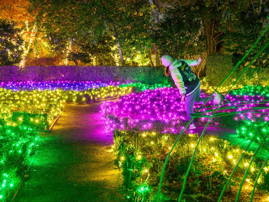 Filoli at night is a dazzling delight during the holidays