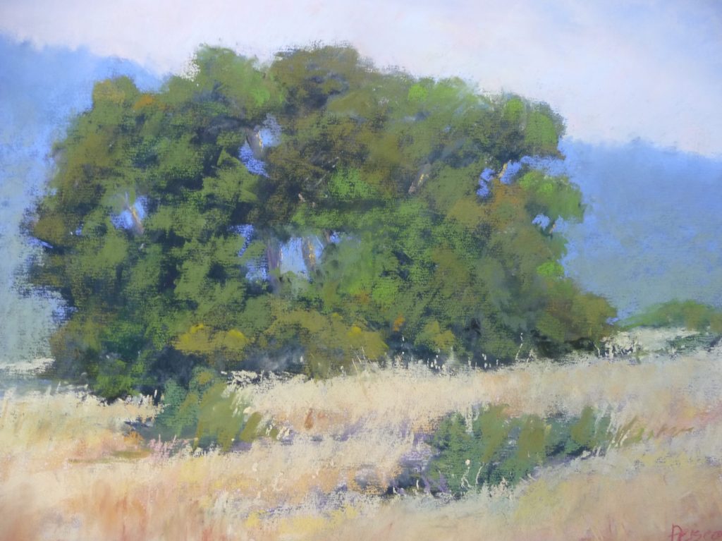 Jan Prisco is featured artist in January at Portola Art Gallery